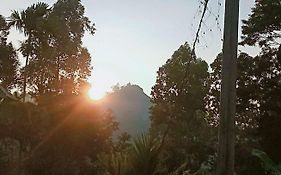 Littleadems View